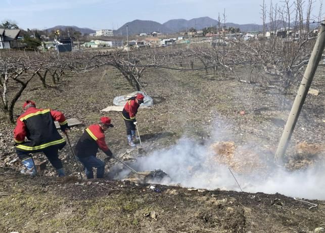 안성시, 대형산불 예방·대비 기동단속반 운영