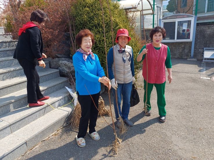 강화군 화도면, 나무 심고! 지역사회 자연 풍성하게!