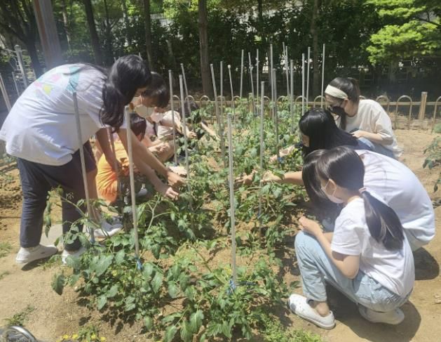 약용식물로 배우는 생태체험...고양교육지원청, 서울대 약학대학 약초원과 지역협력 교육사업 추진