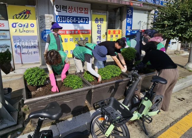 신장2동 새마을부녀회, 가을꽃으로 산뜻한 마을 조성