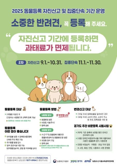 2025 동물등록 자진신고, 집중단속 기간 운영 홍보물.