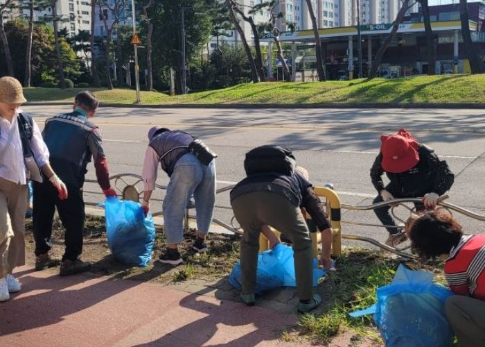 수원시 장안구 송죽동, 능행차 행사 구간 환경정비