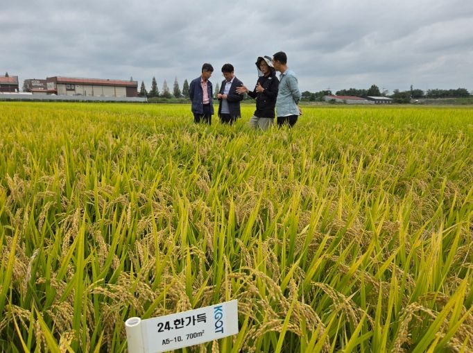 한가득 보급종자 채종포 현장점검