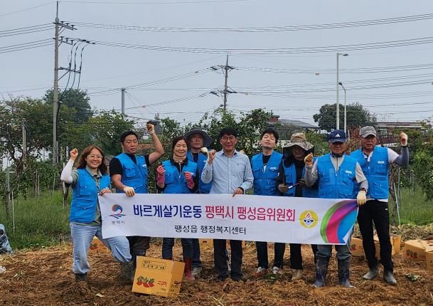바르게살기운동 평택시 팽성읍 위원회, 고구마 수확 행사