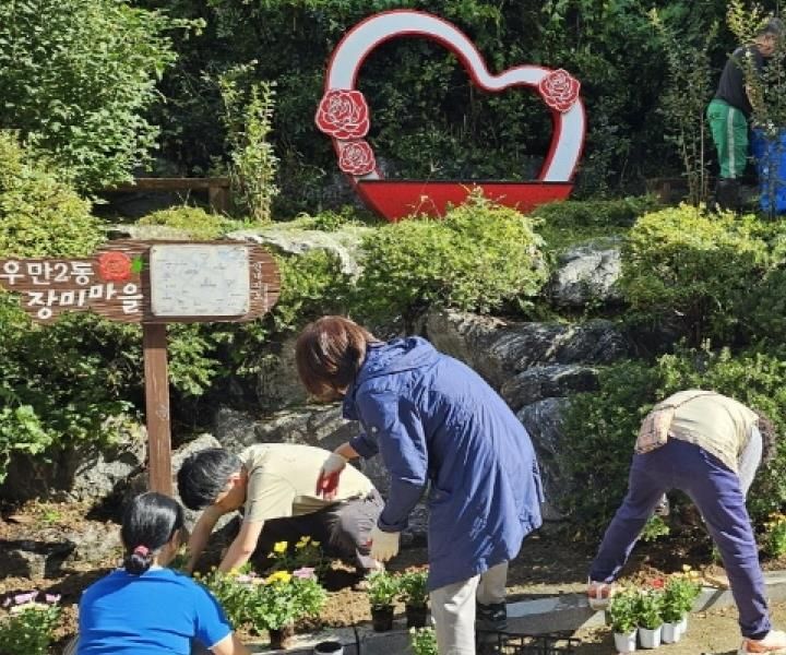 수원시 팔달구 우만2동, 가을맞이 국화 식재 추진