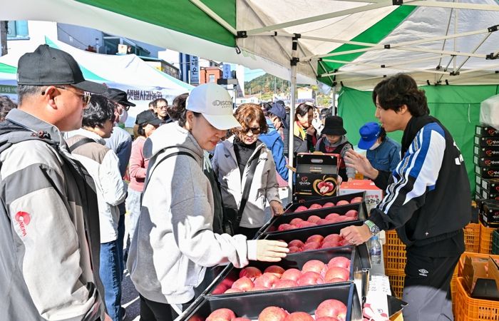 2024년 사과축제 사진
