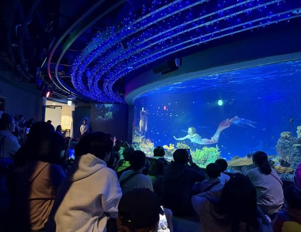 수원특례시 드림스타트 아동·가족이 아쿠아플라넷 관람을 하고 있다.