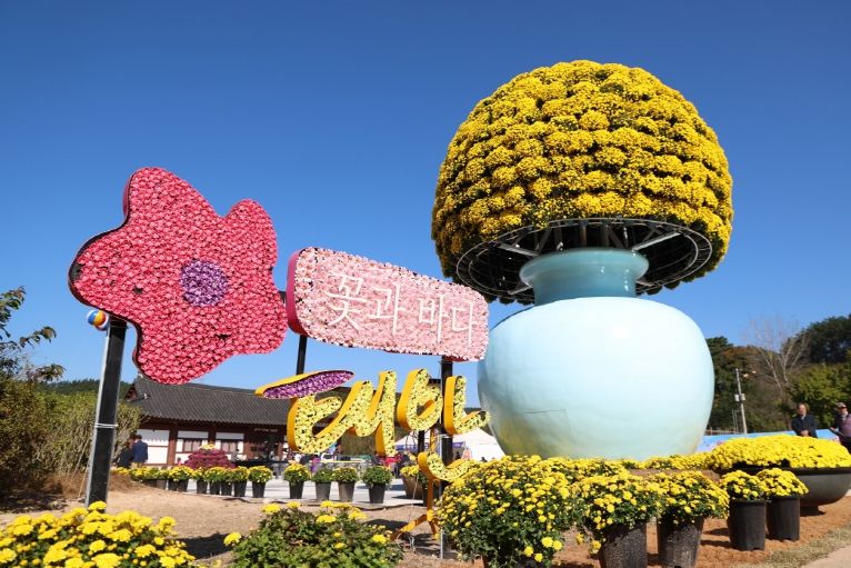 11월 3일 태안 국화축제 모습.