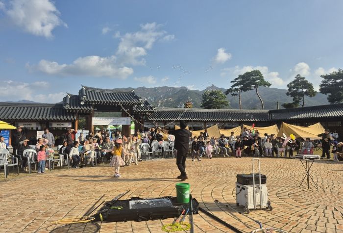 영암군 목재누리 페스티벌_버블쇼