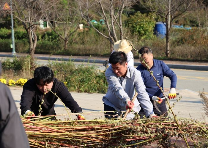 용인도시공사, 케나프 수확부터 기부까지…탄소중립·ESG 경영 실천