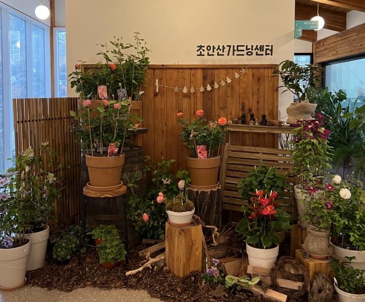 다양한 종류의 꽃과 식물들이 도봉구 초안산가드닝센터 내에 전시돼 있다