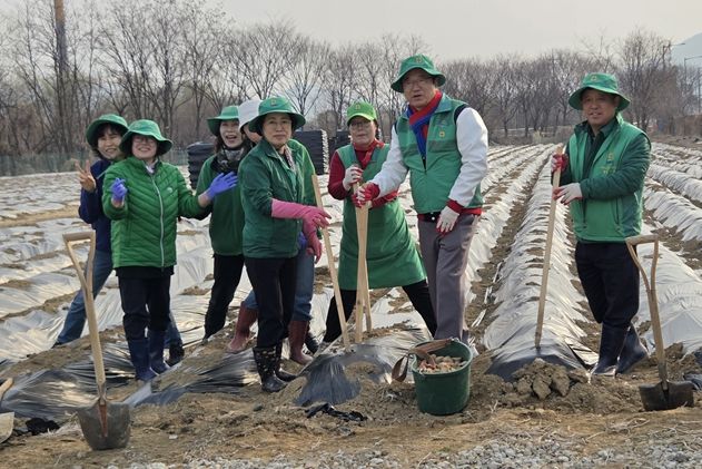 새마을운동 하남시지회, ‘이웃사랑 실천 휴경지 경작’ 사업 실시