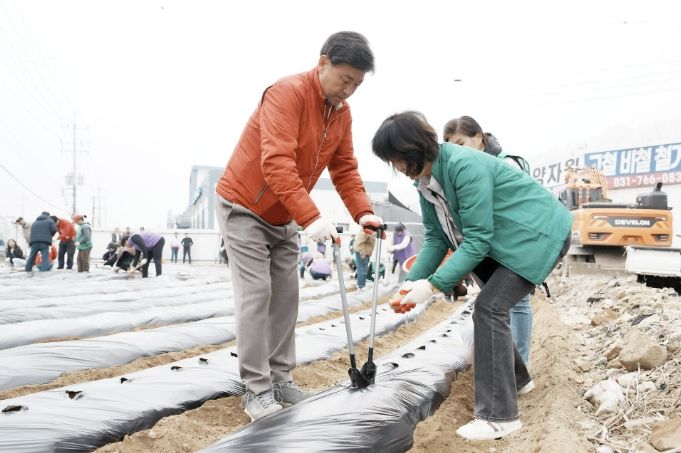 광주시 능평동 새마을지도자협의회·부녀회, 취약계층 위한 감자 심기 실시