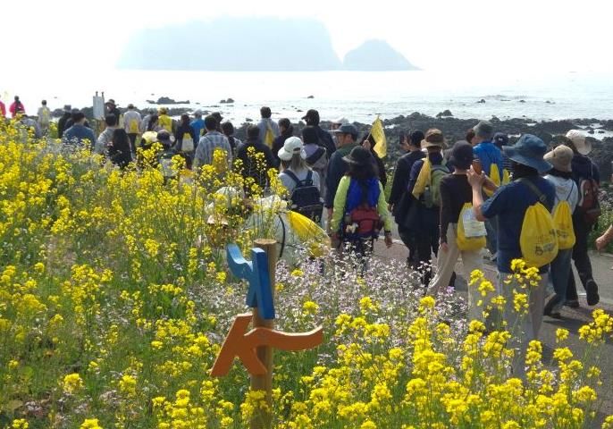 제28회 서귀포 유채꽃 국제걷기대회